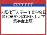 沈阳化工大学一年奖学金最多能拿多少(沈阳化工大学奖学金上限)