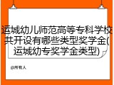 运城幼儿师范高等专科学校共开设有哪些类型奖学金(运城幼专奖学金类型)