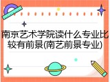 南京艺术学院读什么专业比较有前景(南艺前景专业)