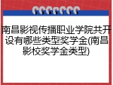 南昌影视传播职业学院共开设有哪些类型奖学金(南昌影校奖学金类型)