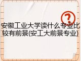 安徽工业大学读什么专业比较有前景(安工大前景专业)