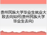 贵州民族大学毕业生就业大致去向如何(贵州民族大学毕业生去向)