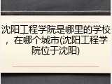 沈阳工程学院是哪里的学校，在哪个城市(沈阳工程学院位于沈阳)