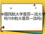 中国民航大学是双一流大学吗?(中航大是双一流吗)