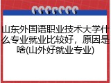 山东外国语职业技术大学什么专业就业比较好，原因是啥(山外好就业专业)