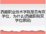 西藏职业技术学院是否有双学位，为什么(西藏职院双学位原因)