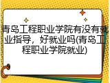 青岛工程职业学院有没有就业指导，好就业吗(青岛工程职业学院就业)