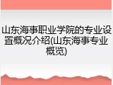 山东海事职业学院的专业设置概况介绍(山东海事专业概览)