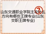 山东交通职业学院主攻什么方向有哪些王牌专业(山东交职王牌专业)
