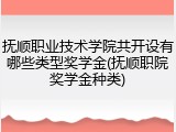 抚顺职业技术学院共开设有哪些类型奖学金(抚顺职院奖学金种类)