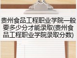 贵州食品工程职业学院一般要多少分才能录取(贵州食品工程职业学院录取分数)