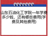 山东石油化工学院一年学费多少钱，还有哪些费用(学费及其他费用)