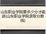 山东职业学院要多少分才能进(山东职业学院录取分数线)