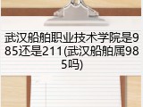 武汉船舶职业技术学院是985还是211(武汉船舶属985吗)