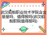 武汉船舶职业技术学院含金量量吗，值得报吗(武汉船舶职院值得报吗)