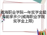 威海职业学院一年奖学金最多能拿多少(威海职业学院奖学金上限)