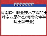 海南软件职业技术学院的王牌专业是什么(海南软件学院王牌专业)