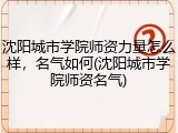 沈阳城市学院师资力量怎么样，名气如何(沈阳城市学院师资名气)
