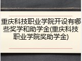 重庆科技职业学院开设有哪些奖学和助学金(重庆科技职业学院奖助学金)