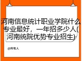 河南信息统计职业学院什么专业最好，一年招多少人(河南统院优势专业招生)