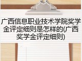 广西信息职业技术学院奖学金评定细则是怎样的(广西奖学金评定细则)