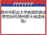 扬州市职业大学就读的真实感觉如何(扬州职大就读体验)