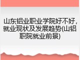 山东铝业职业学院好不好，就业现状及发展趋势(山铝职院就业前景)
