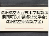 沈阳航空职业技术学院就读期间可以申请哪些奖学金(沈阳航空职院奖学金)