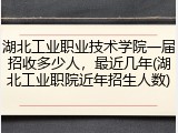 湖北工业职业技术学院一届招收多少人，最近几年(湖北工业职院近年招生人数)