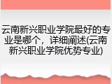 云南新兴职业学院最好的专业是哪个，详细阐述(云南新兴职业学院优势专业)