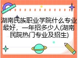 湖南民族职业学院什么专业最好，一年招多少人(湖南民院热门专业及招生)