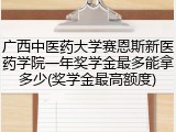 广西中医药大学赛恩斯新医药学院一年奖学金最多能拿多少(奖学金最高额度)