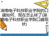 湖南电子科技职业学院的口碑如何，现在怎么样了(湖南电子科技职业学院口碑现状)