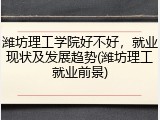 潍坊理工学院好不好，就业现状及发展趋势(潍坊理工就业前景)
