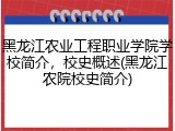 黑龙江农业工程职业学院学校简介，校史概述(黑龙江农院校史简介)