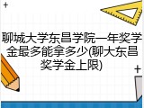聊城大学东昌学院一年奖学金最多能拿多少(聊大东昌奖学金上限)