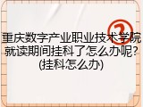 重庆数字产业职业技术学院就读期间挂科了怎么办呢？(挂科怎么办)