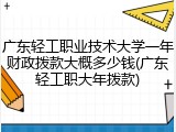 广东轻工职业技术大学一年财政拨款大概多少钱(广东轻工职大年拨款)