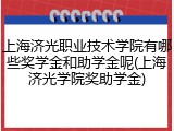 上海济光职业技术学院有哪些奖学金和助学金呢(上海济光学院奖助学金)