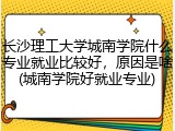 长沙理工大学城南学院什么专业就业比较好，原因是啥(城南学院好就业专业)