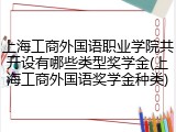 上海工商外国语职业学院共开设有哪些类型奖学金(上海工商外国语奖学金种类)