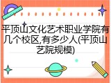 平顶山文化艺术职业学院有几个校区,有多少人(平顶山艺院规模)