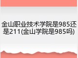 金山职业技术学院是985还是211(金山学院是985吗)