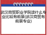 武汉商贸职业学院读什么专业比较有前景(武汉商贸有前景专业)