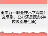 重庆五一职业技术学院是什么级别，公办还是民办(学校级别与性质)