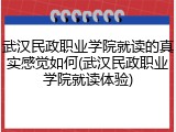 武汉民政职业学院就读的真实感觉如何(武汉民政职业学院就读体验)