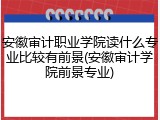 安徽审计职业学院读什么专业比较有前景(安徽审计学院前景专业)