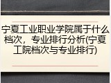 宁夏工业职业学院属于什么档次，专业排行分析(宁夏工院档次与专业排行)