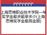 上海思博职业技术学院一年奖学金最多能拿多少(上海思博奖学金最高金额)