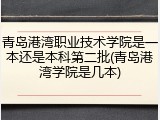 青岛港湾职业技术学院是一本还是本科第二批(青岛港湾学院是几本)